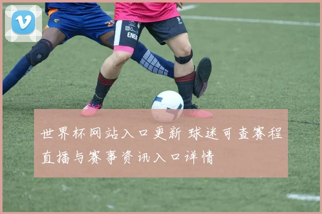 世界杯网站入口更新 球迷可查赛程直播与赛事资讯入口详情