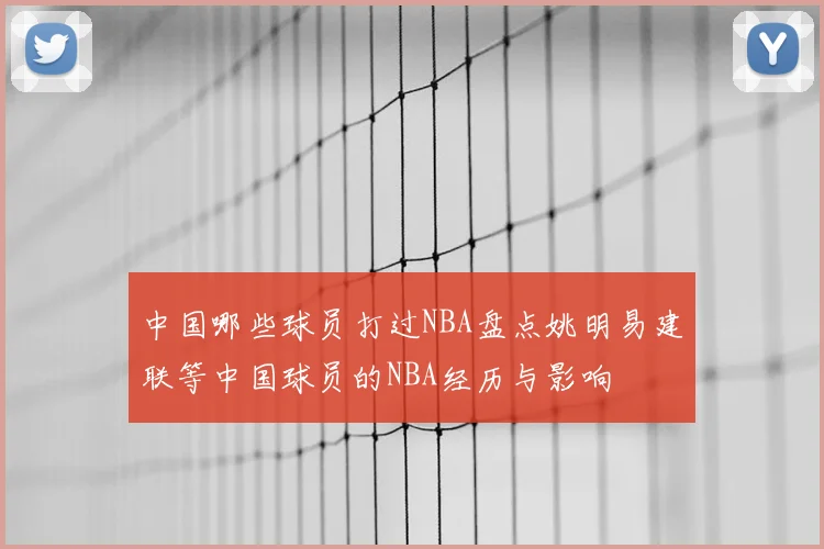 中国哪些球员打过NBA盘点姚明易建联等中国球员的NBA经历与影响