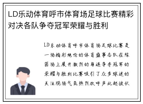 LD乐动体育呼市体育场足球比赛精彩对决各队争夺冠军荣耀与胜利